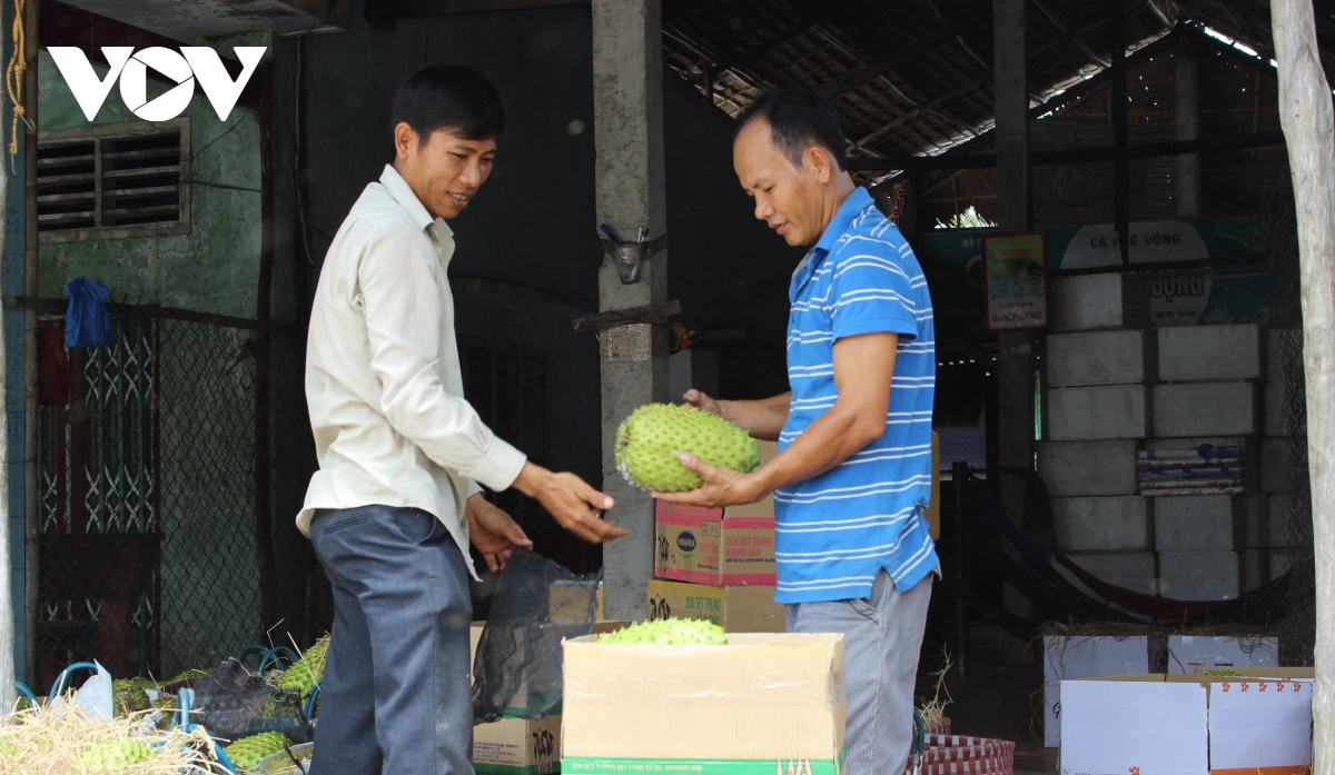 Giá mãng cầu xiêm cao kỷ lục